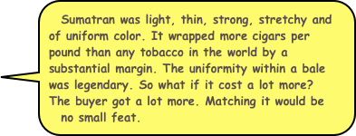 Sumatran was light, thin, strong, stretchy and of uniform color. It wrapped more cigars per pound than any tobacco in the world by a substantial margin. The uniformity within a bale was legendary. So what if it cost a lot more?  The buyer got a lot more. Matching it would be 
no small feat.