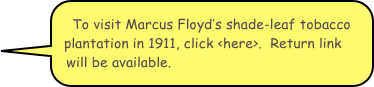 To visit Marcus Floyd’s shade-leaf tobacco plantation in 1911, click <here>.  Return link will be available.